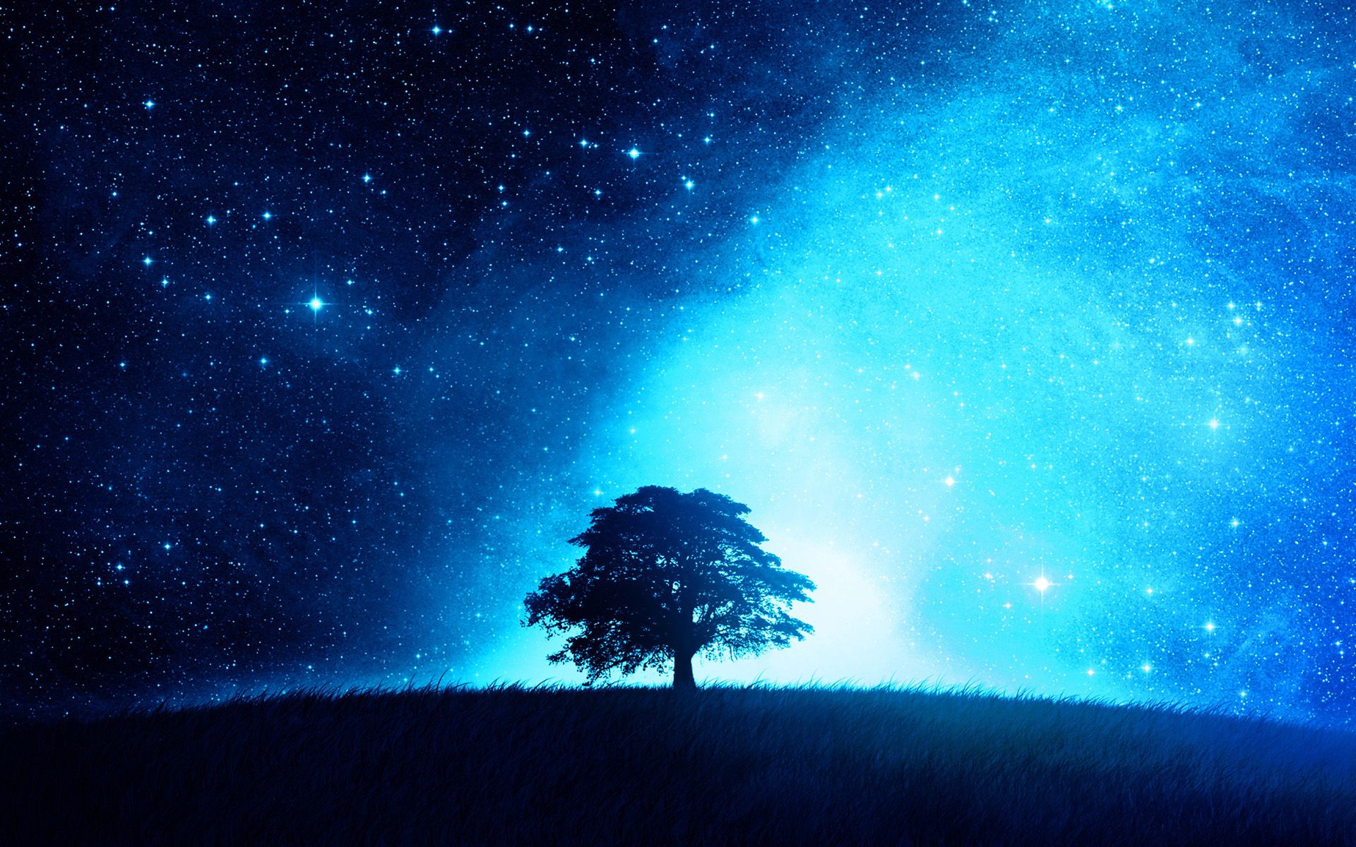 Albero solitario cielo stellato, 1920x1200 Full HD+ WUXGA, Laptop