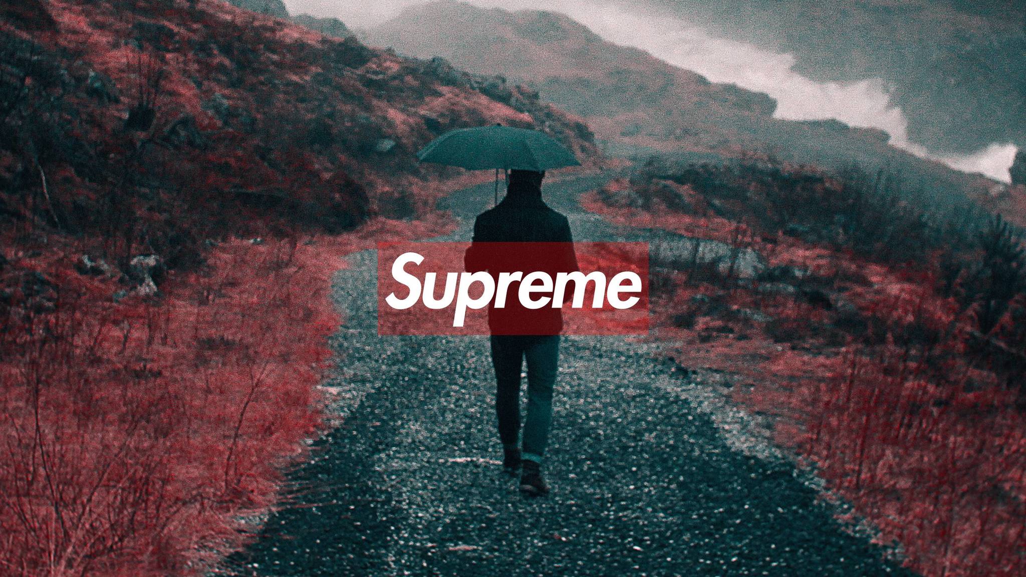 Logo Supreme uomo sentiero, streetwear, 2048x1152 Hi-Res, Desktop