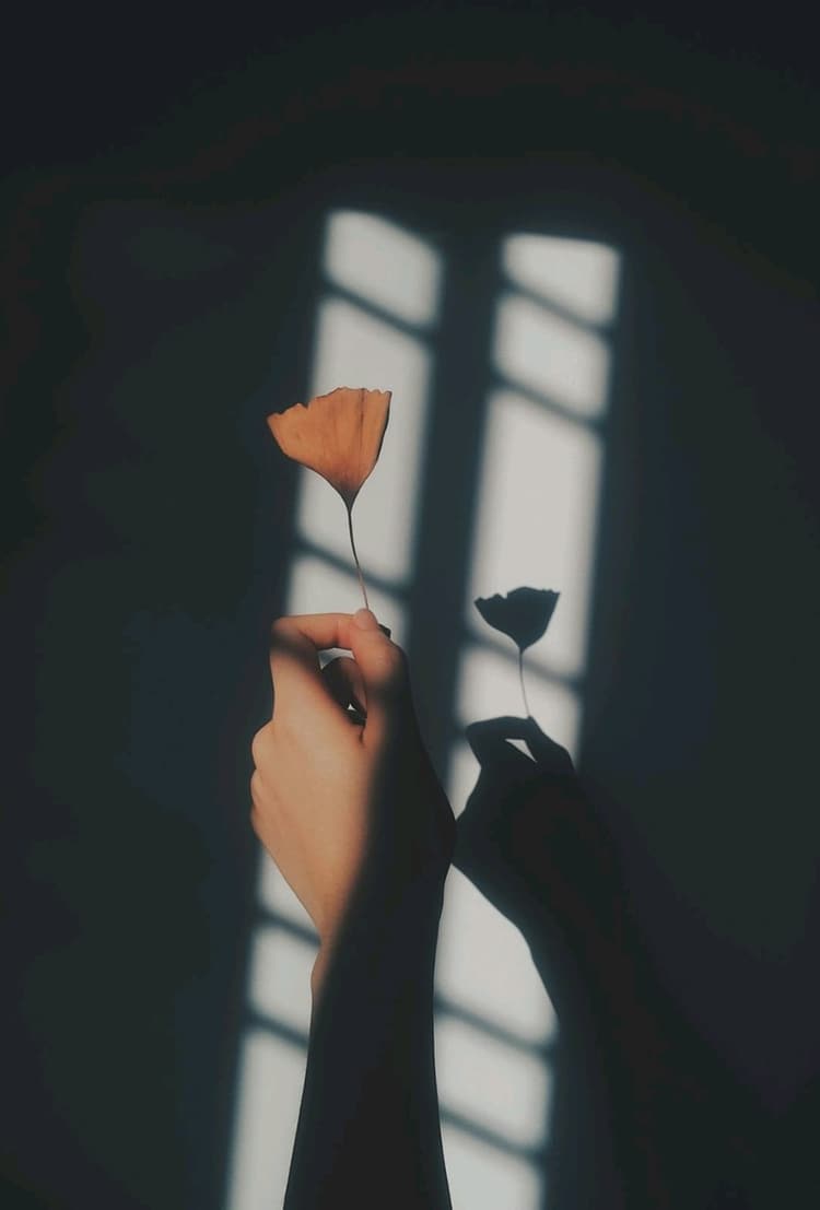 Mano con fiore e ombre, 750x1107 Verticale, Telefono