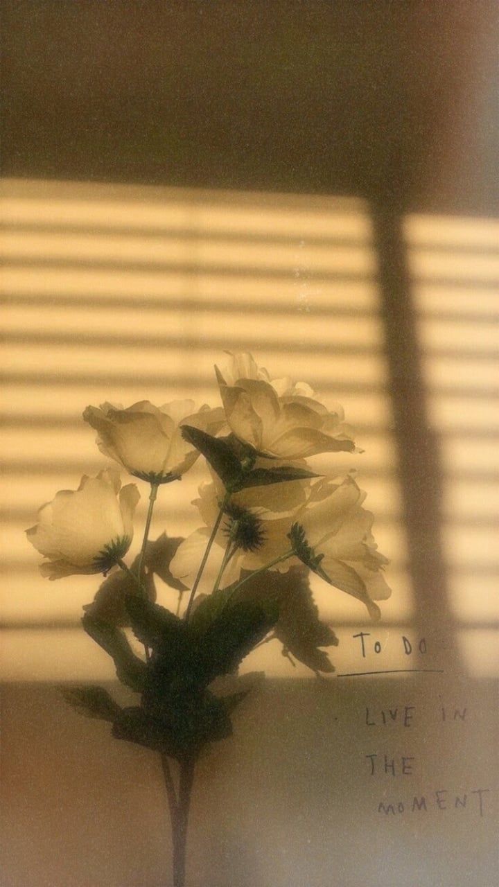Fiori bianchi con ombre veneziane, 720x1280 Verticale, Mobile