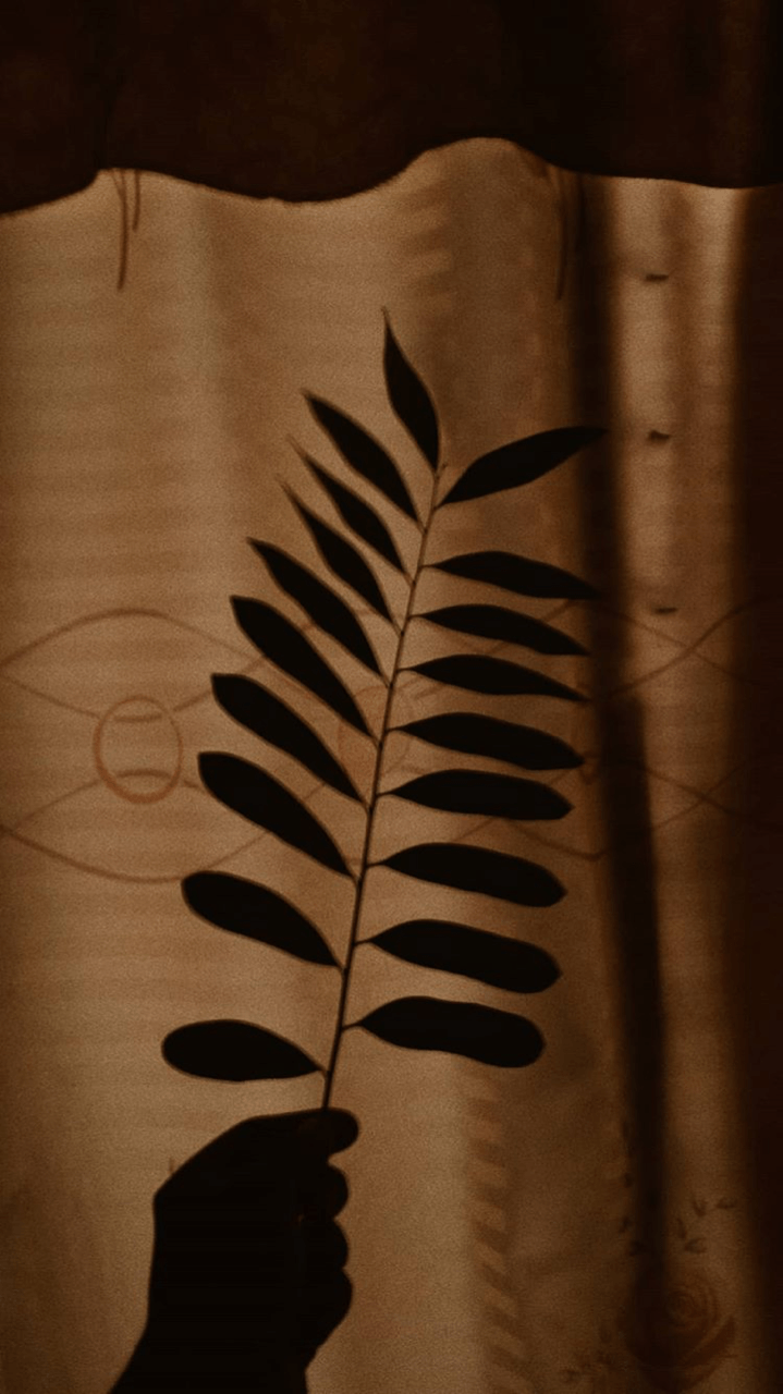 Silhouette mano con foglia, 719x1280 Full HD Verticale, iPhone