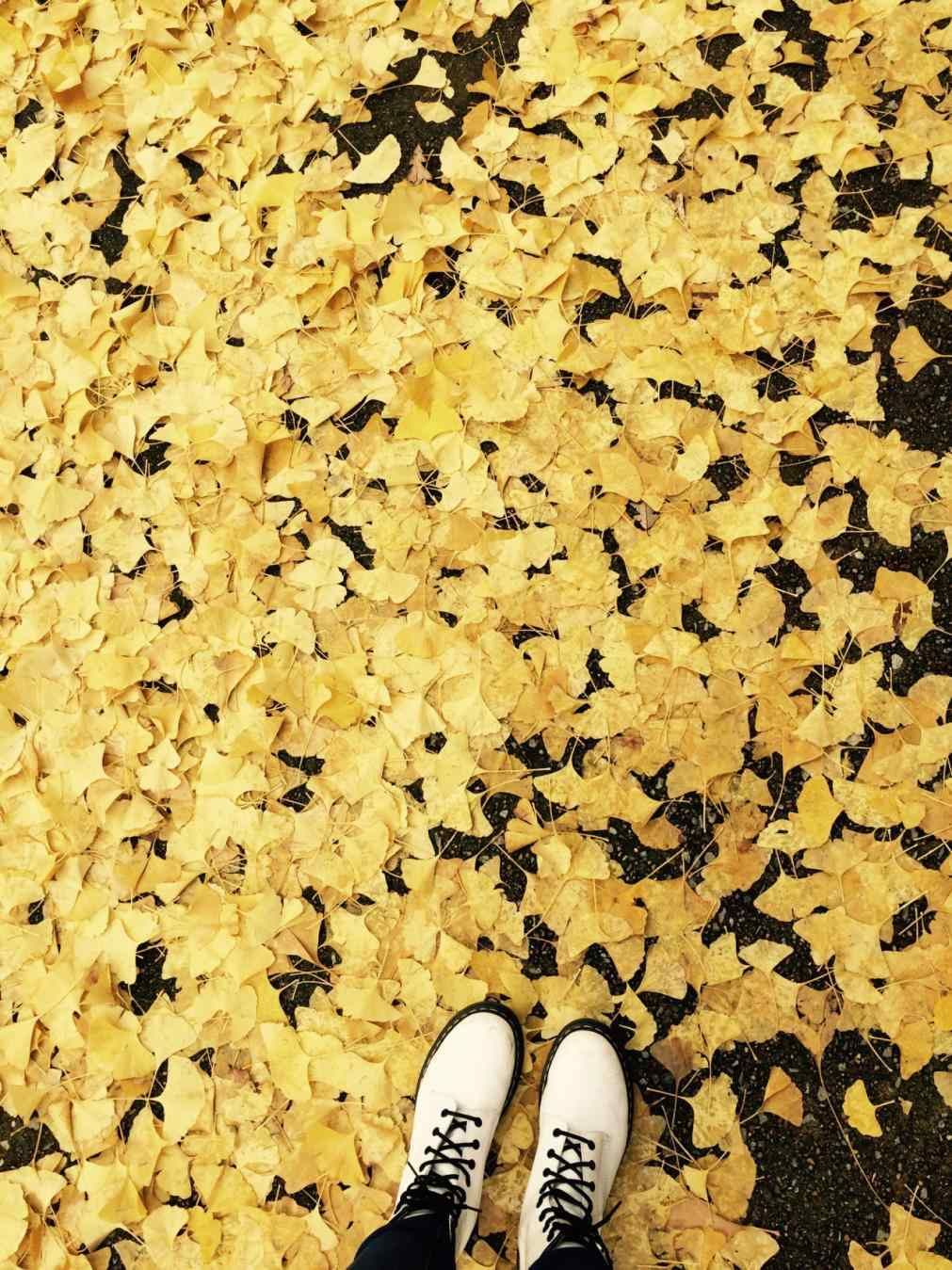 Foglie gialle autunno e scarpe, 1011x1349 Verticale, POCO