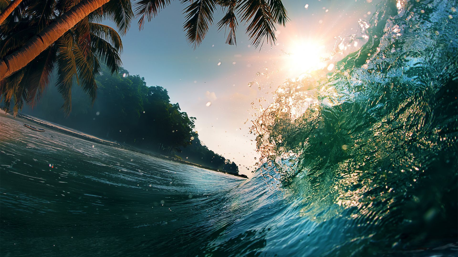 Onda oceano con palme e sole, 1920x1080 1080p, Laptop