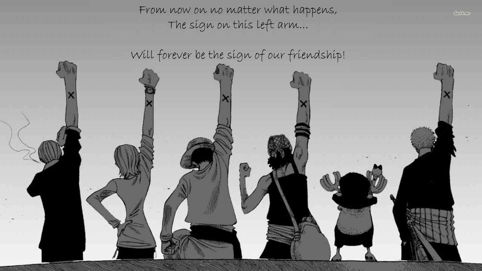 One Piece equipaggio braccia alzate, 1920x1080 Full HD 1080p, Desktop