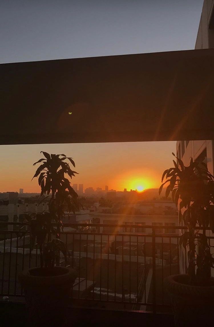 Tramonto da balcone con piante, 750x1147 Verticale, Telefono