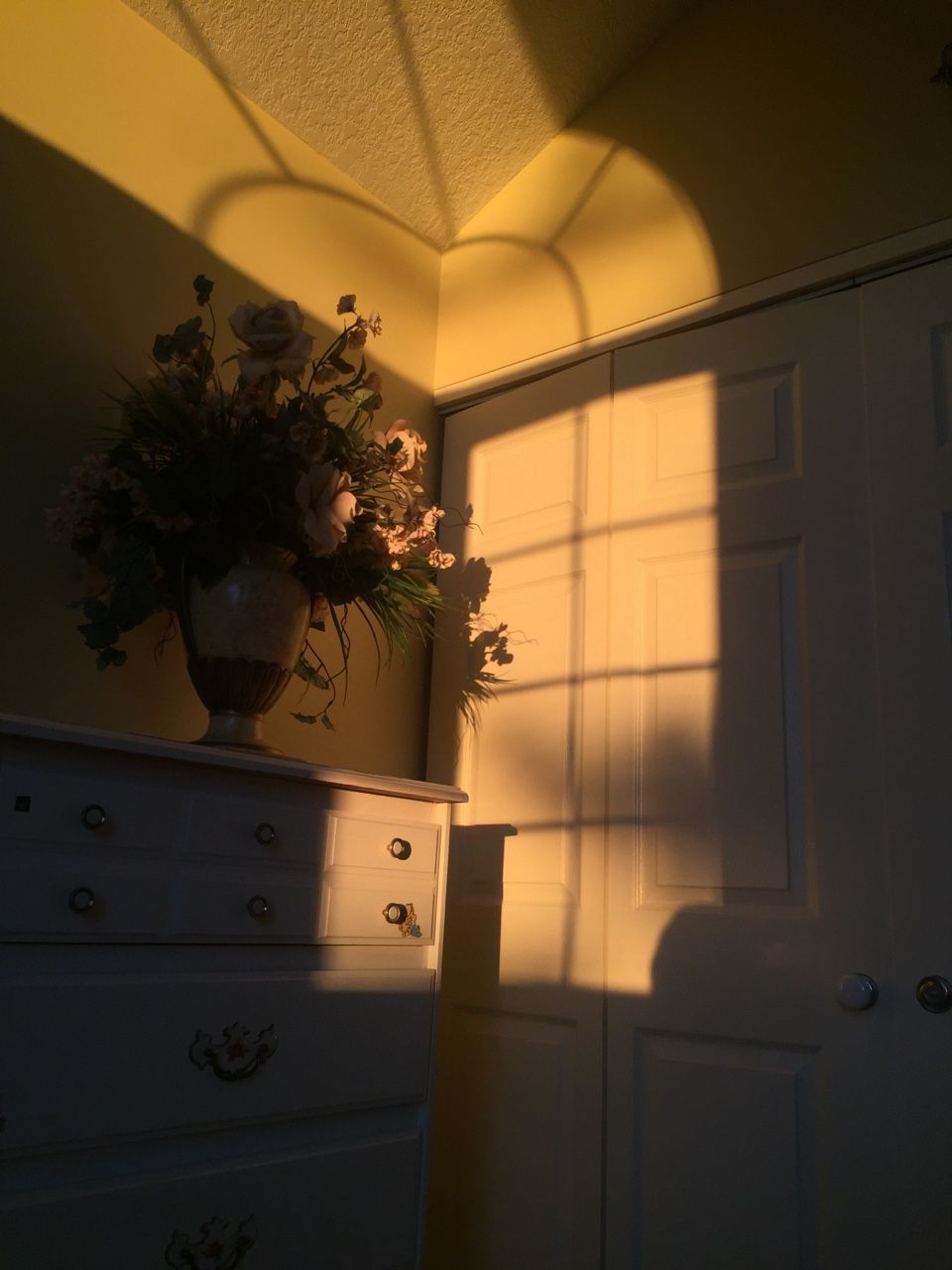 Vaso fiori luce dorata, 960x1280 Verticale, Telefono