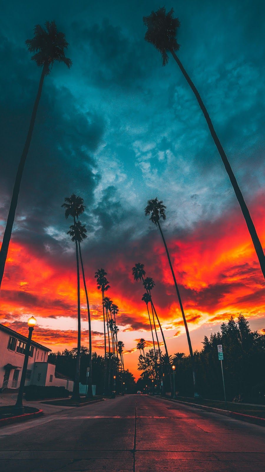Palme tramonto strada arancione, 900x1600 Full HD Verticale, Smartphone