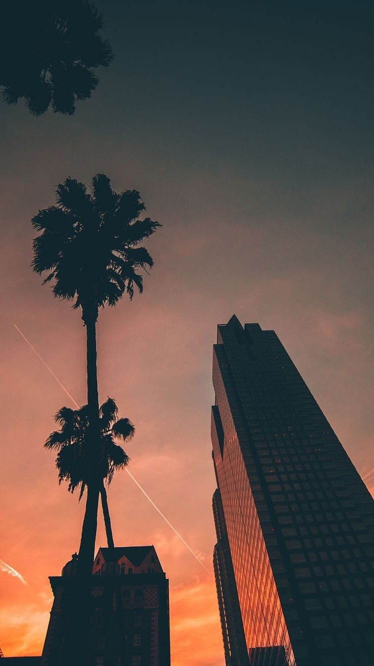 Palme e grattacielo al tramonto, 751x1335 Verticale, Telefono