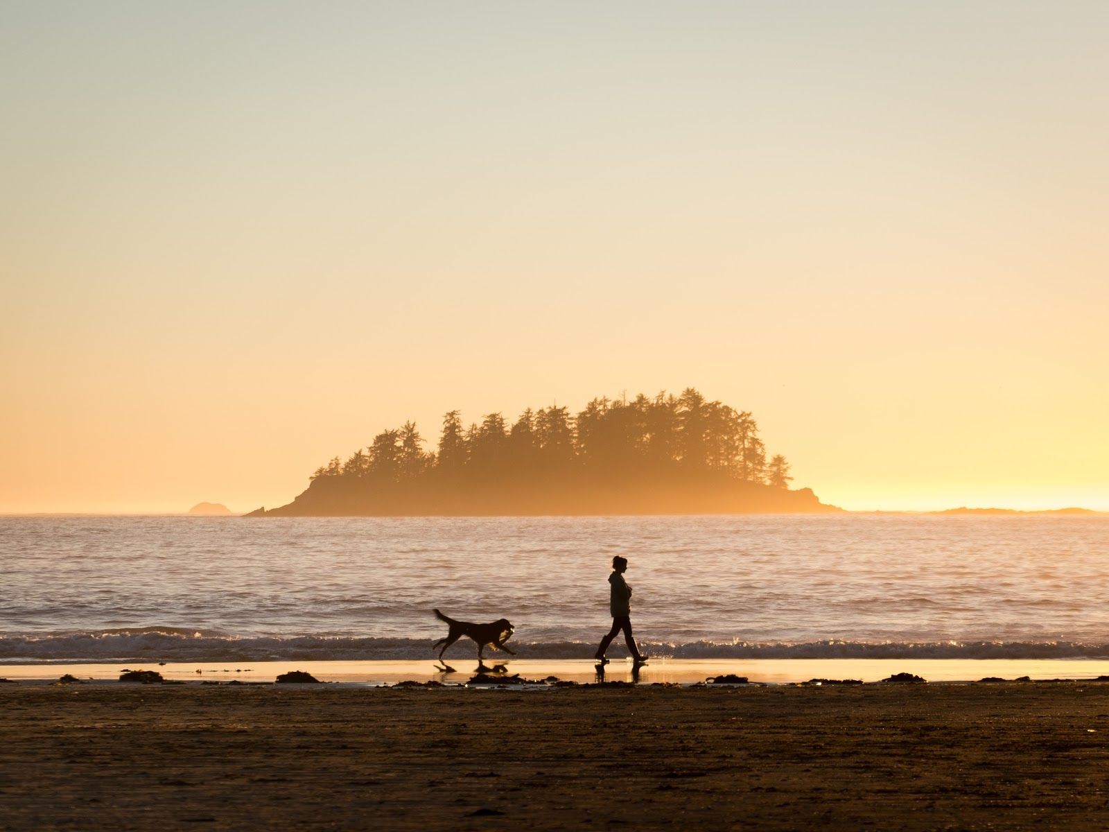 Persona con cane spiaggia tramonto, 1600x1200 HD Ready, Notebook Gaming