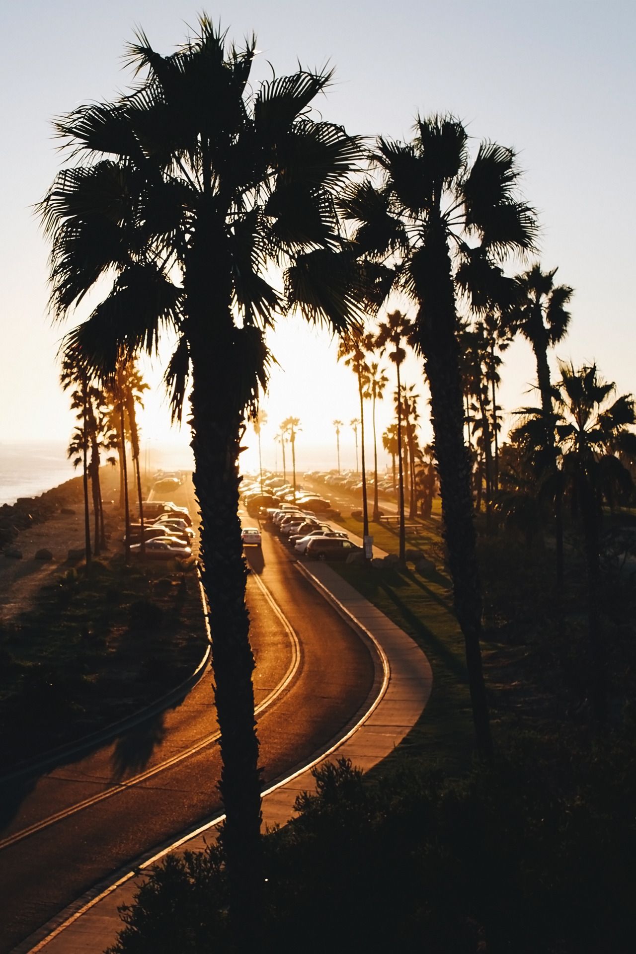 Palme al tramonto su strada costiera, 1280x1920 Full HD Verticale, iPhone