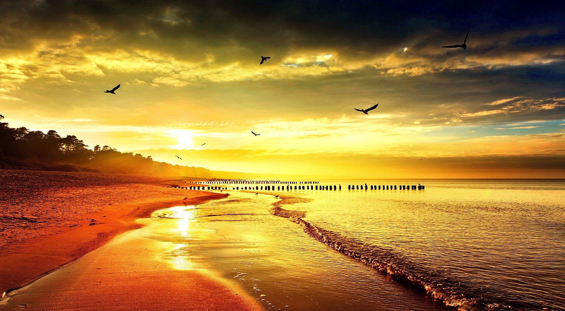 Spiaggia tramonto dorato uccelli, 1920x1056 Full HD 1080p, Desktop
