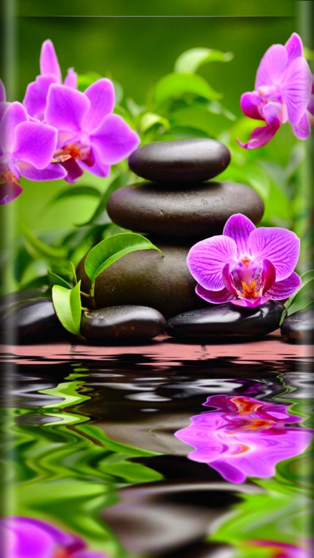orchidee viola e pietre zen, 1080x1920 Full HD Verticale, Smartphone