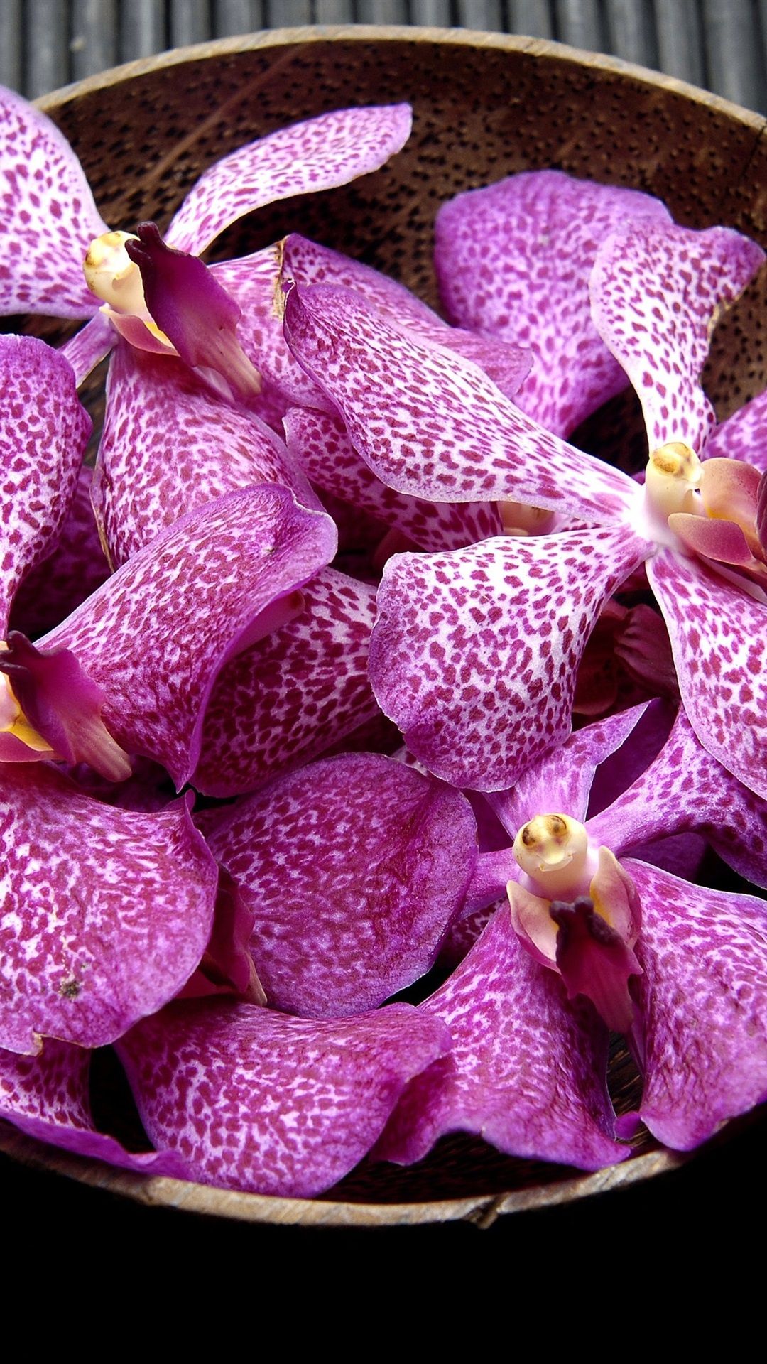 Orchidee viola in ciotola, 1080x1920 Full HD Verticale, iPhone