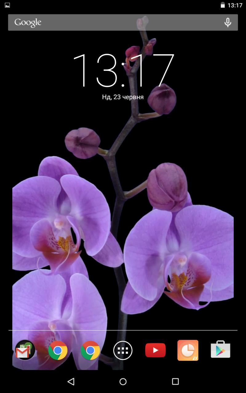 Orchidea viola su nero, 800x1280 Full HD Verticale, Smartphone