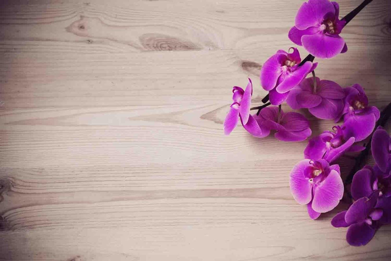 Orchidea viola su legno, 1350x900 HD, Desktop