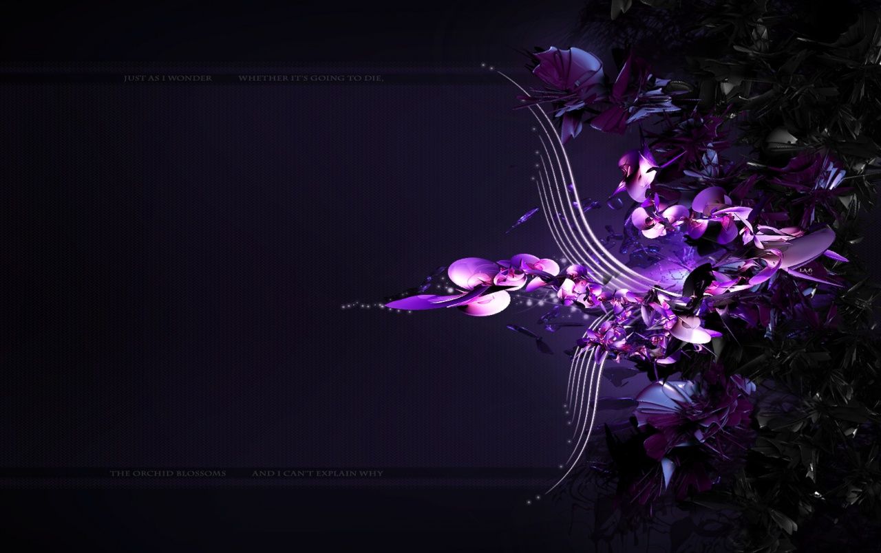 Orchidea viola su sfondo scuro, 1280x804 720p, Laptop
