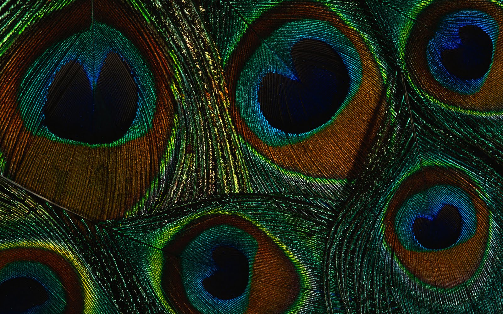 Sfere colorate arcobaleno riflesse, 1920x1080 Full HD 1080p, PC Desktop