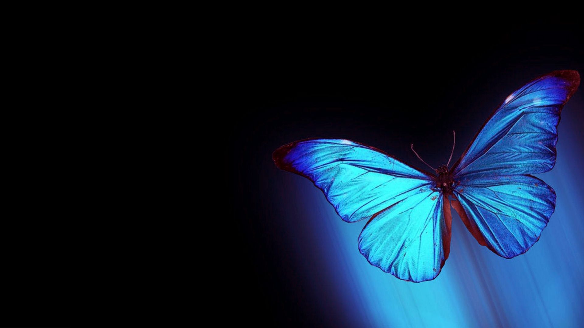 Frattale astratto colorato luminoso, 1280x720 HD, PC Desktop