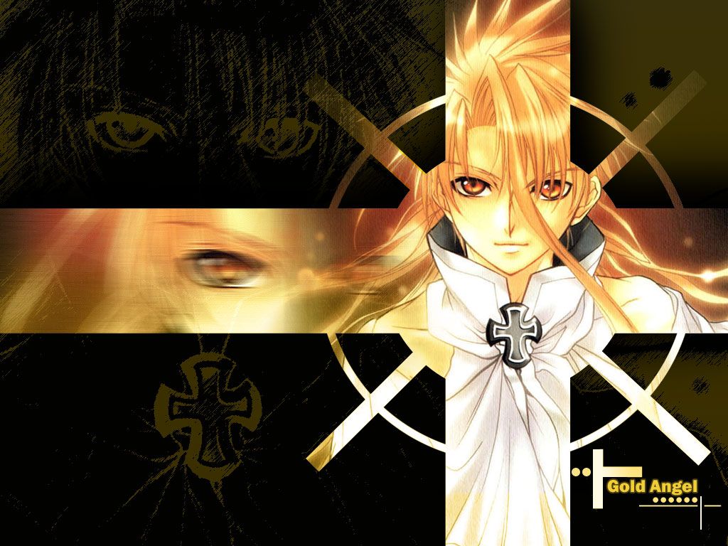 Saint Seiya armatura dorata alata, 1920x1200 WUXGA, Desktop