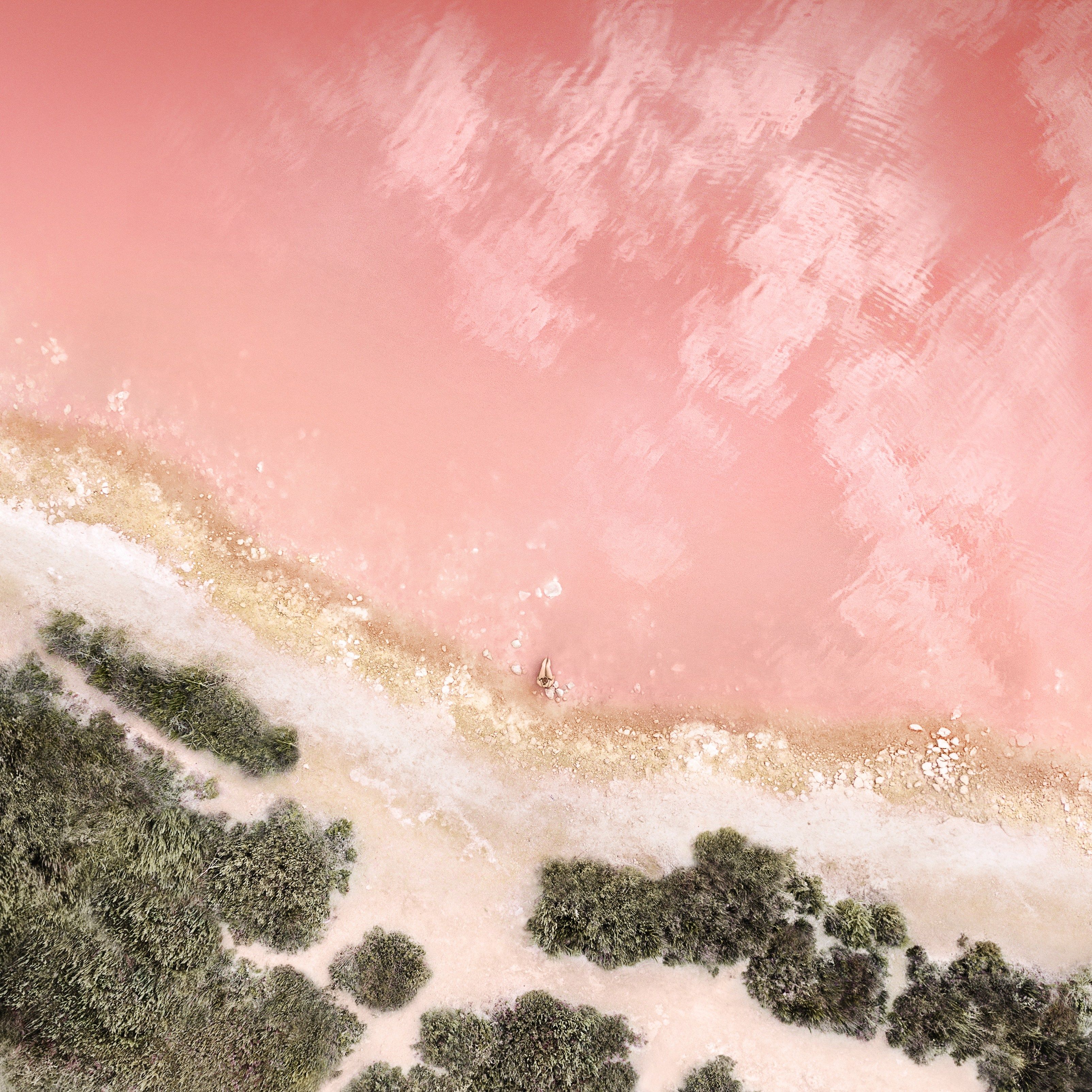Spiaggia rosa vista dall'alto, sfondi iPad, 3208x3208 2K+, iPad Air