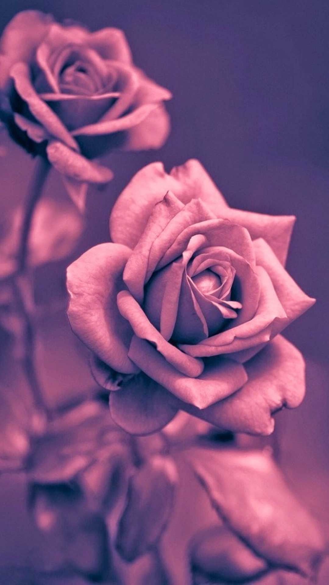 Rose oro rosa metalliche, 1080x1920 Verticale, Telefono