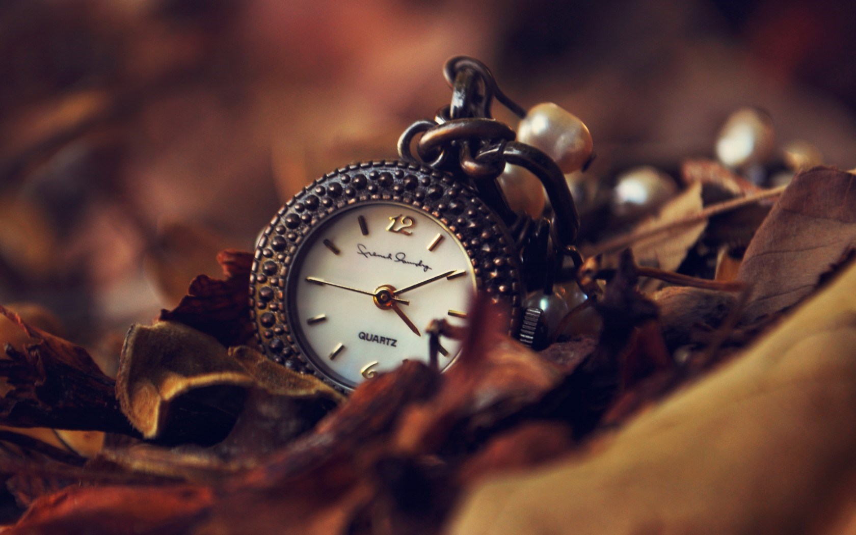 Orologio da tasca su foglie autunnali, 1680x1050 900p, MacBook Air