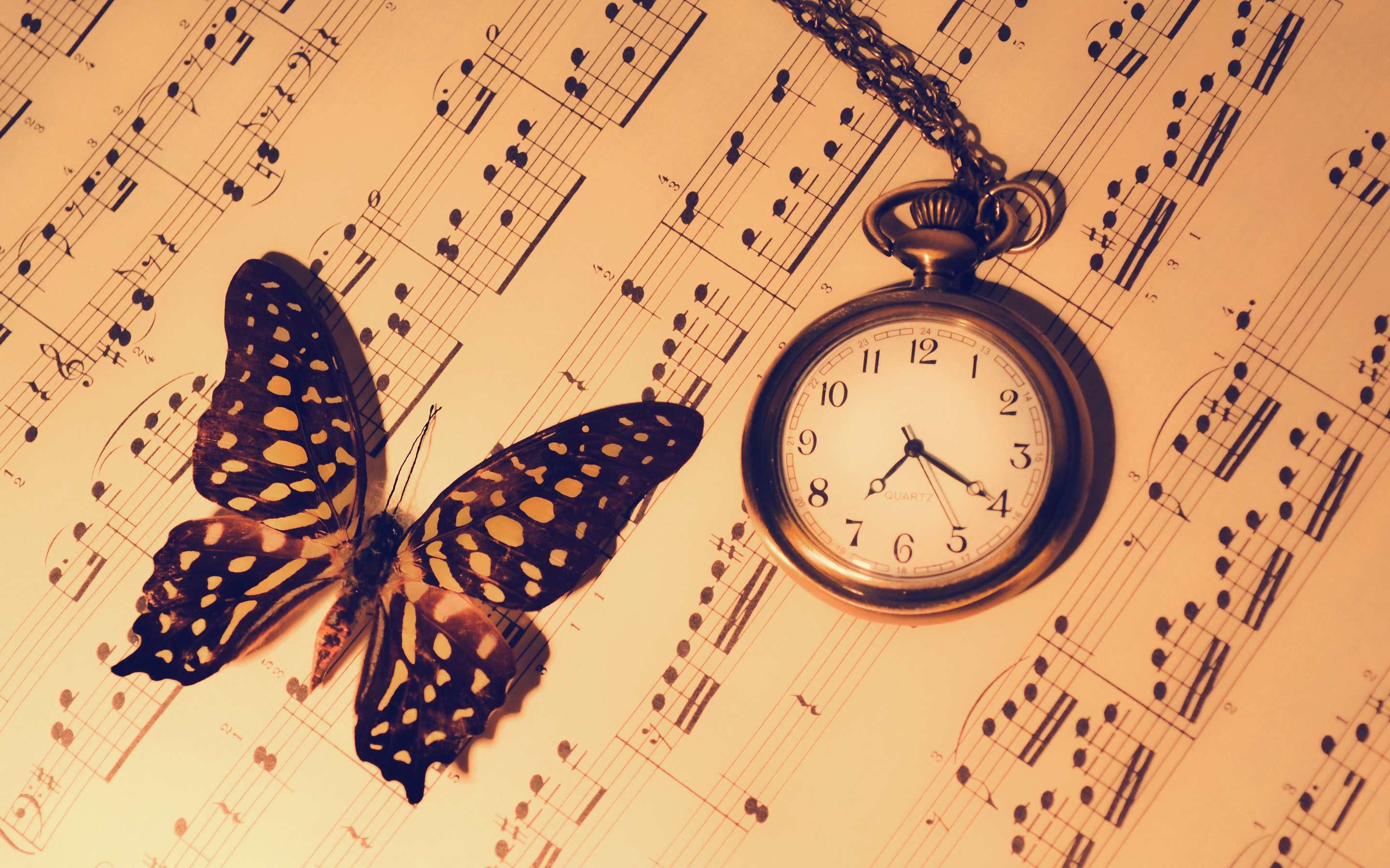 Orologio da tasca e farfalla, 2880x1800 2K+, Desktop