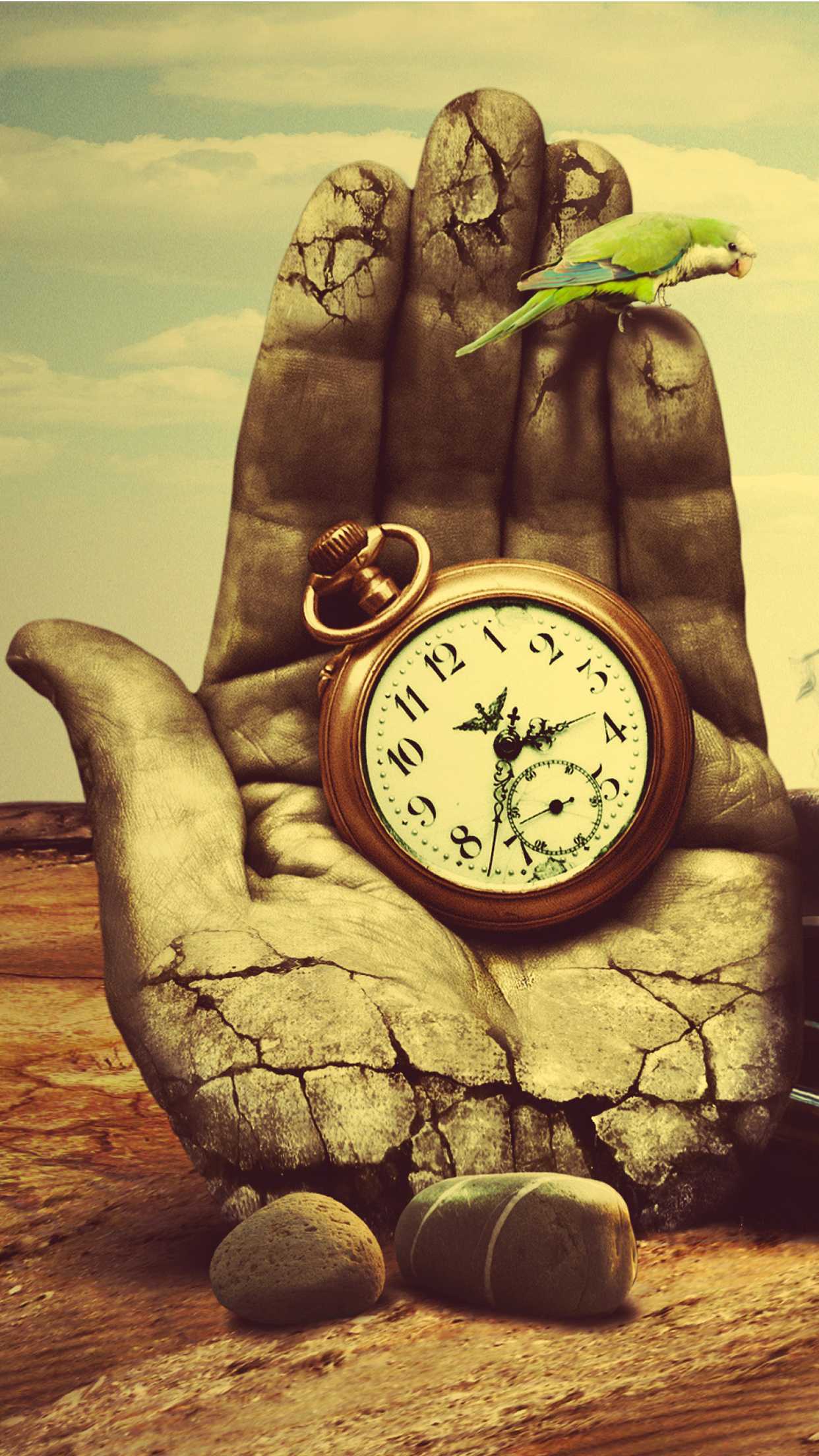 Mano di pietra con orologio, 1242x2208 Full HD Verticale, iPhone