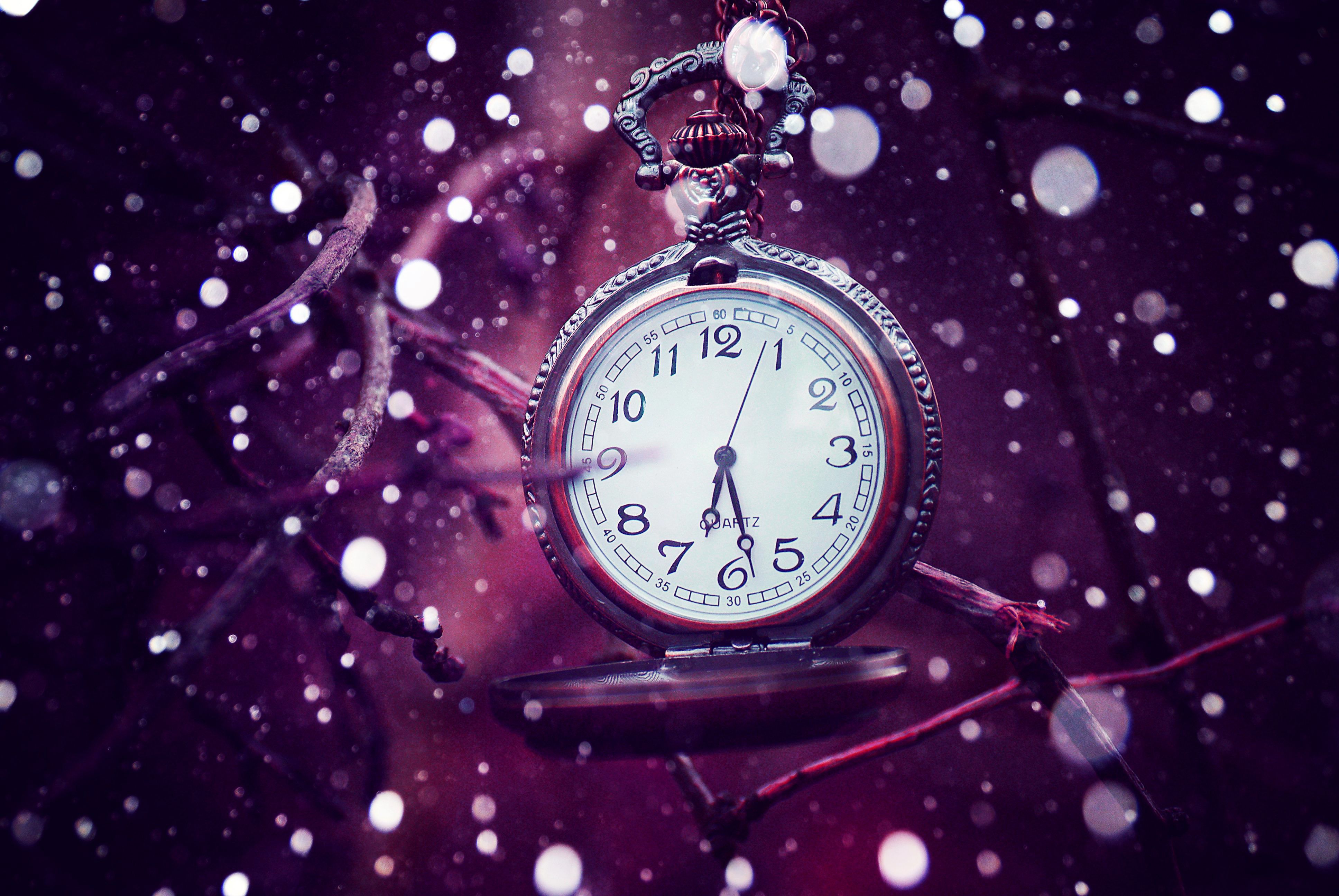 Orologio da tasca tra rami, 3872x2592 4K Ultra HD, Monitor 4K