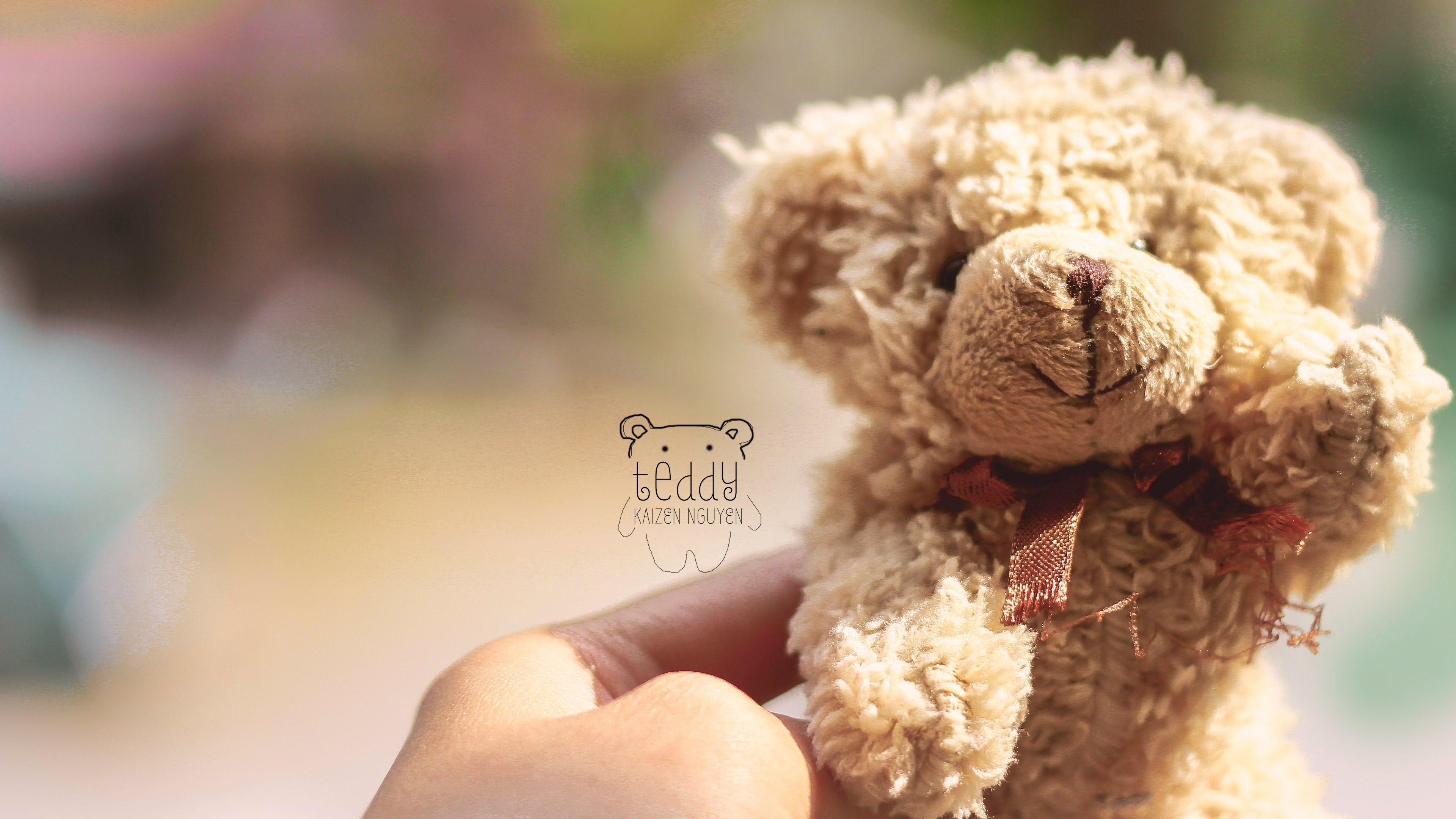 Orsetto di peluche marrone, 3840x2160 UHD, Monitor 4K