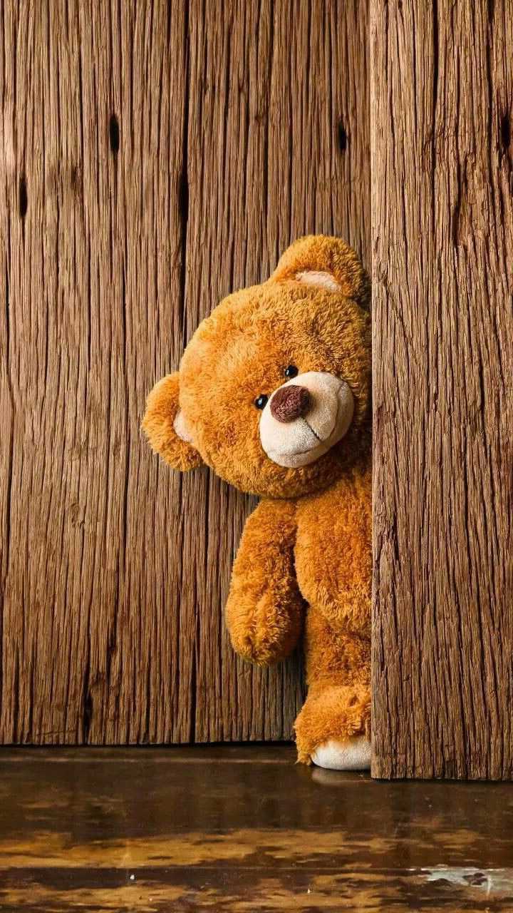Orsetto di peluche marrone, 720x1280 Verticale, Telefono