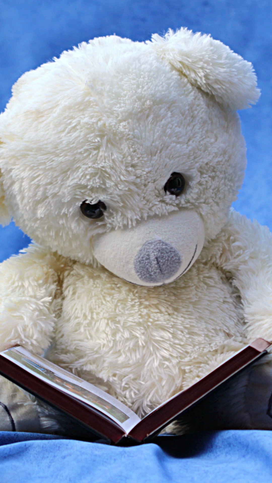 Orsetto di peluche bianco con libro, 1080x1920 Full HD Verticale, iPhone