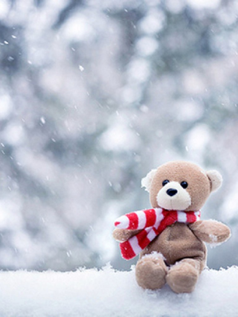 Orsetto peluche sciarpa neve, 768x1024 Full HD Verticale, Realme