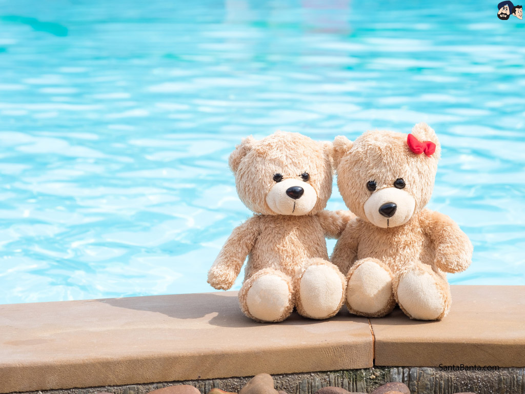 Orsetti peluche bordo piscina, 1024x768 HD, PC