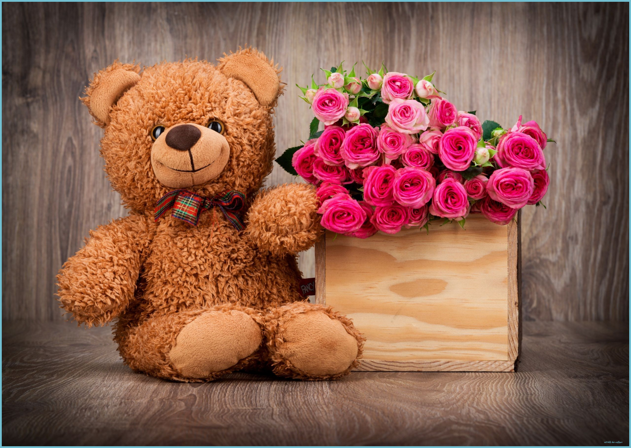 Orsetto peluche con rose rosa, 2483x1762 2K, iMac