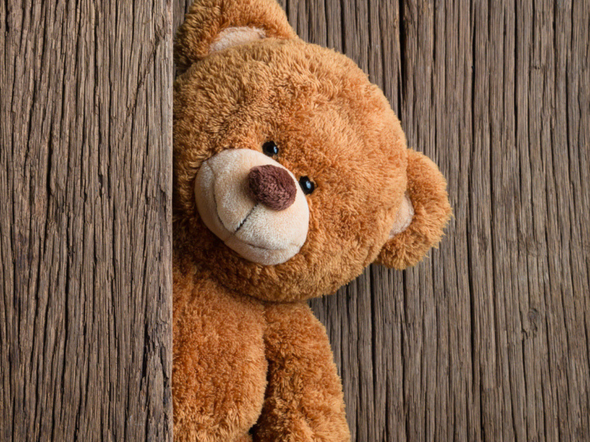 Orsetto peluche marrone dietro legno, 1200x900 HD, Desktop