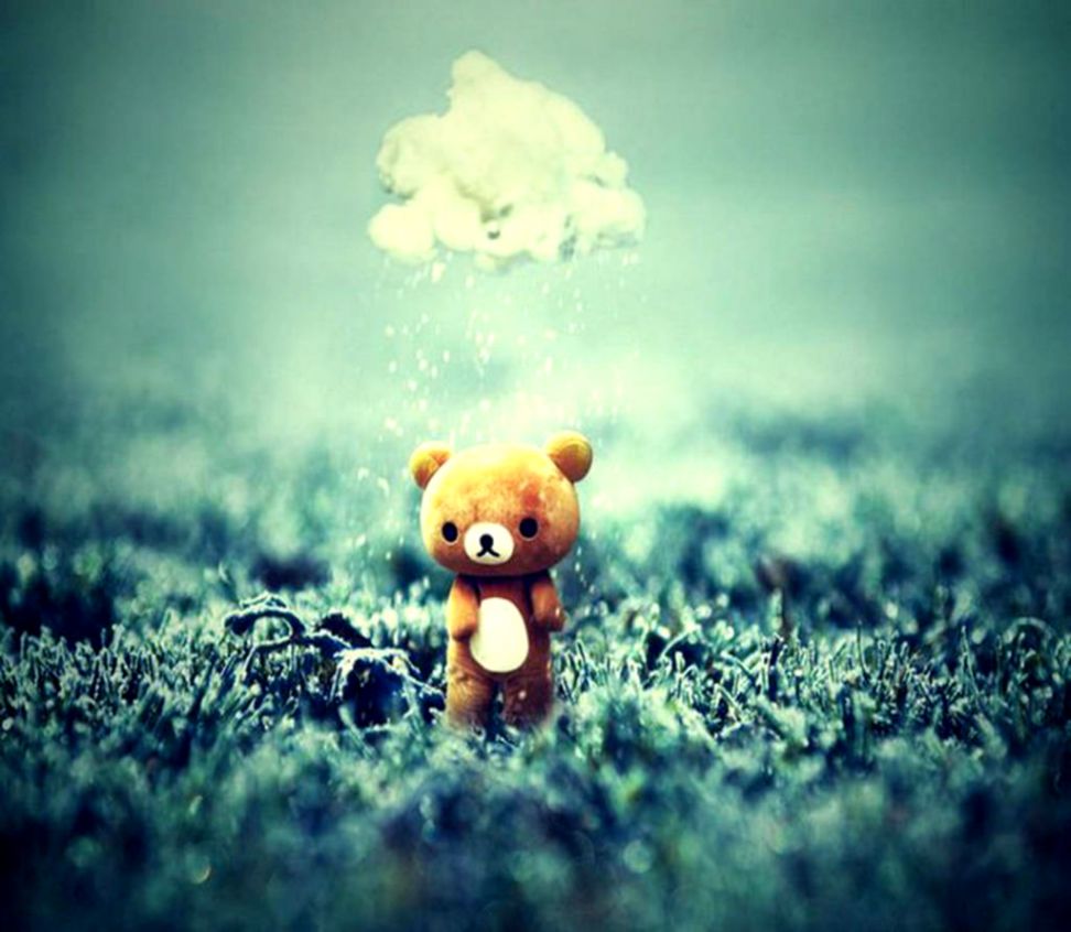 Orsetto peluche sotto pioggia, 972x846 HD, Desktop