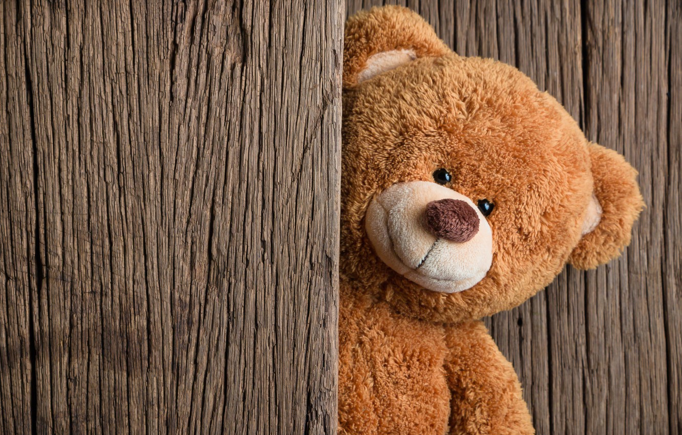 Orsetto di peluche marrone legno, 1332x850 720p, Laptop