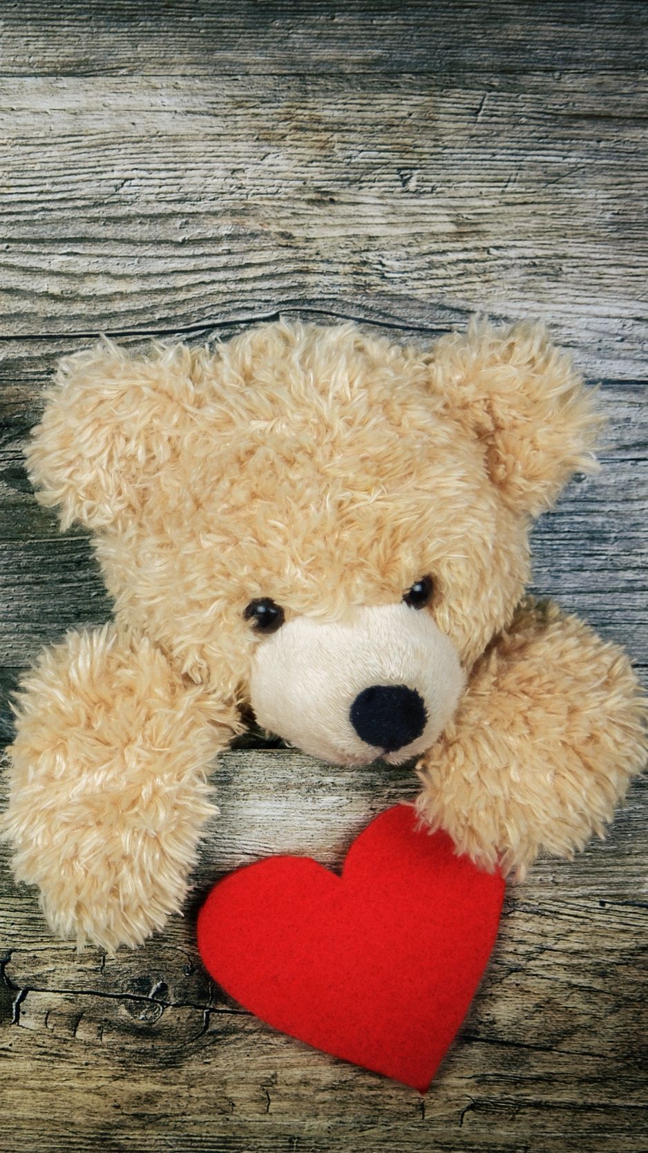 Orsetto di peluche con cuore rosso, 938x1668 Full HD Verticale, Smartphone