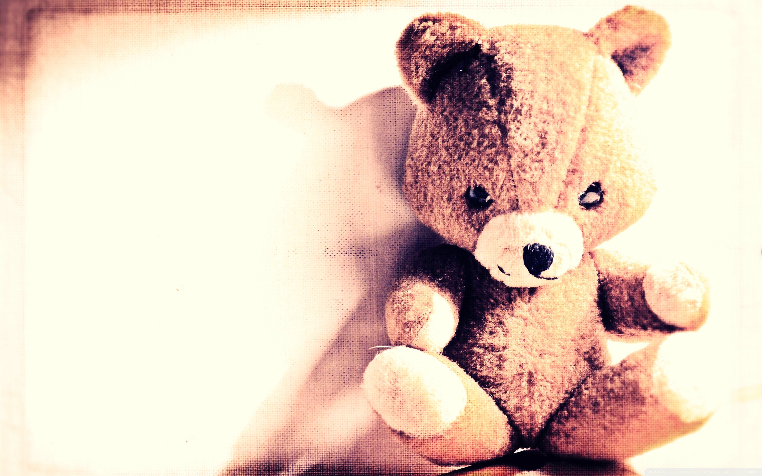 Orsetto di peluche marrone, 2560x1600 WQXGA, Desktop
