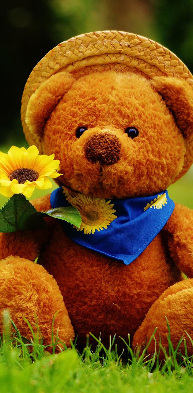 Orsetto peluche con girasole, 630x1280 Verticale, Telefono