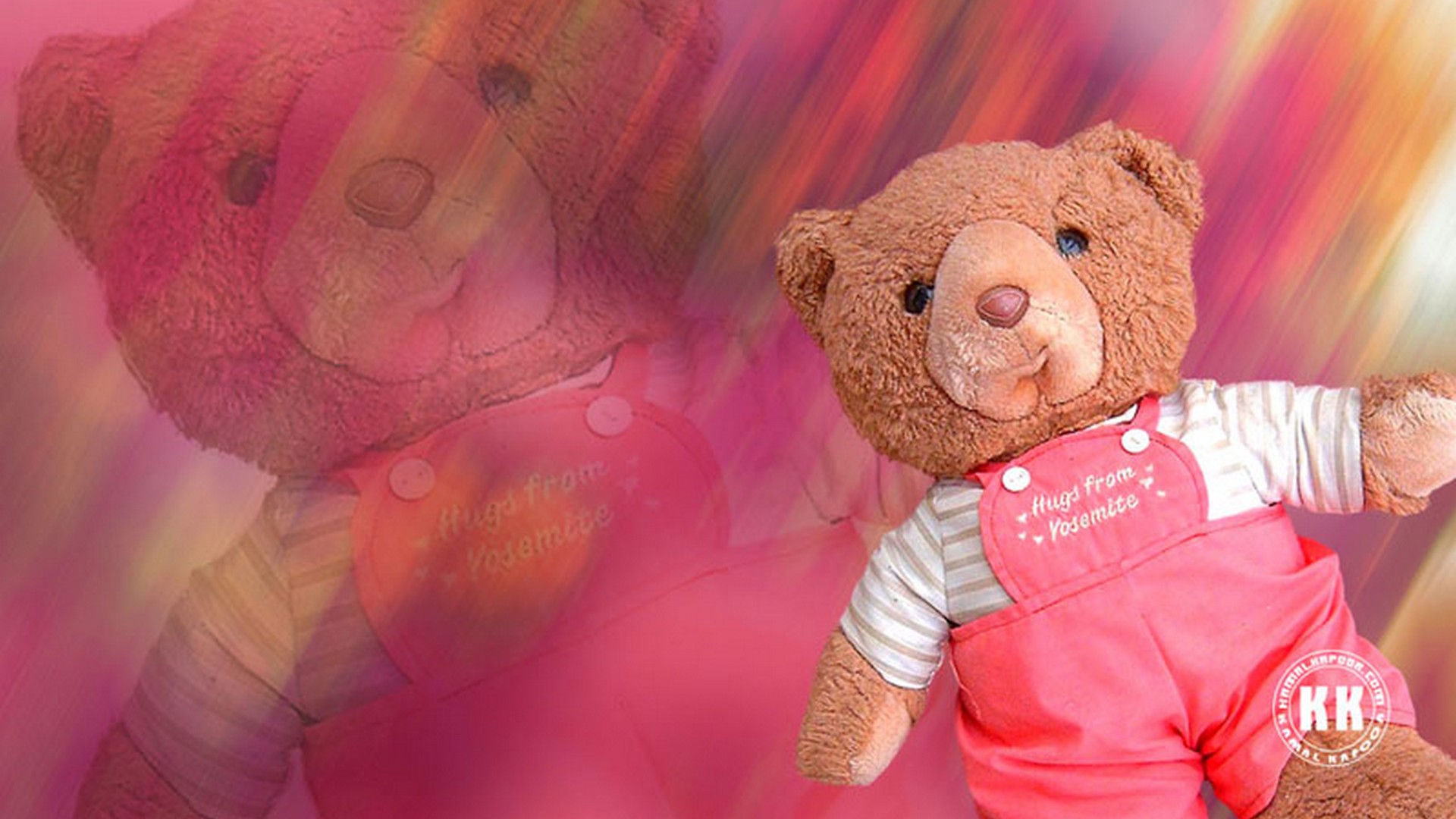 Orsetto di peluche marrone rosa, 1920x1080 1080p, PC