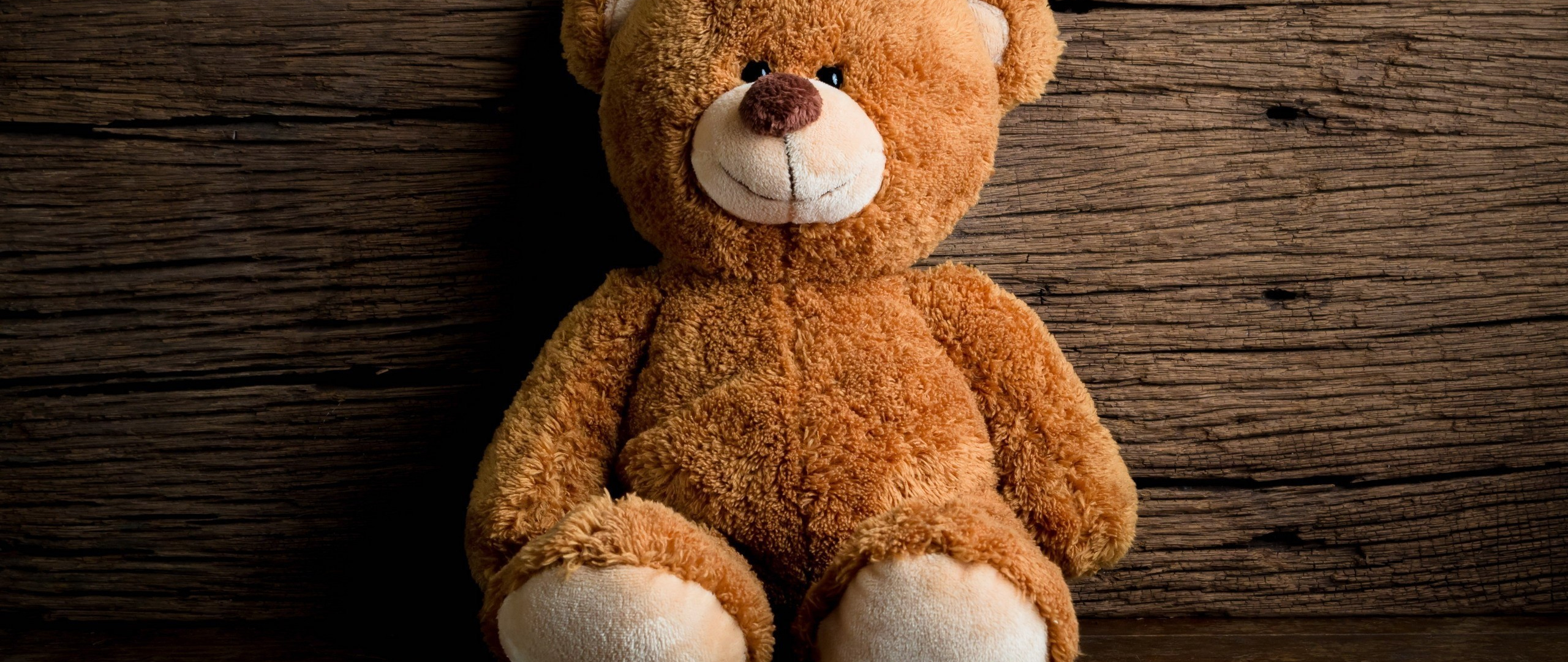 Orsetto di peluche marrone, 2560x1080 21:9, Ultrawide