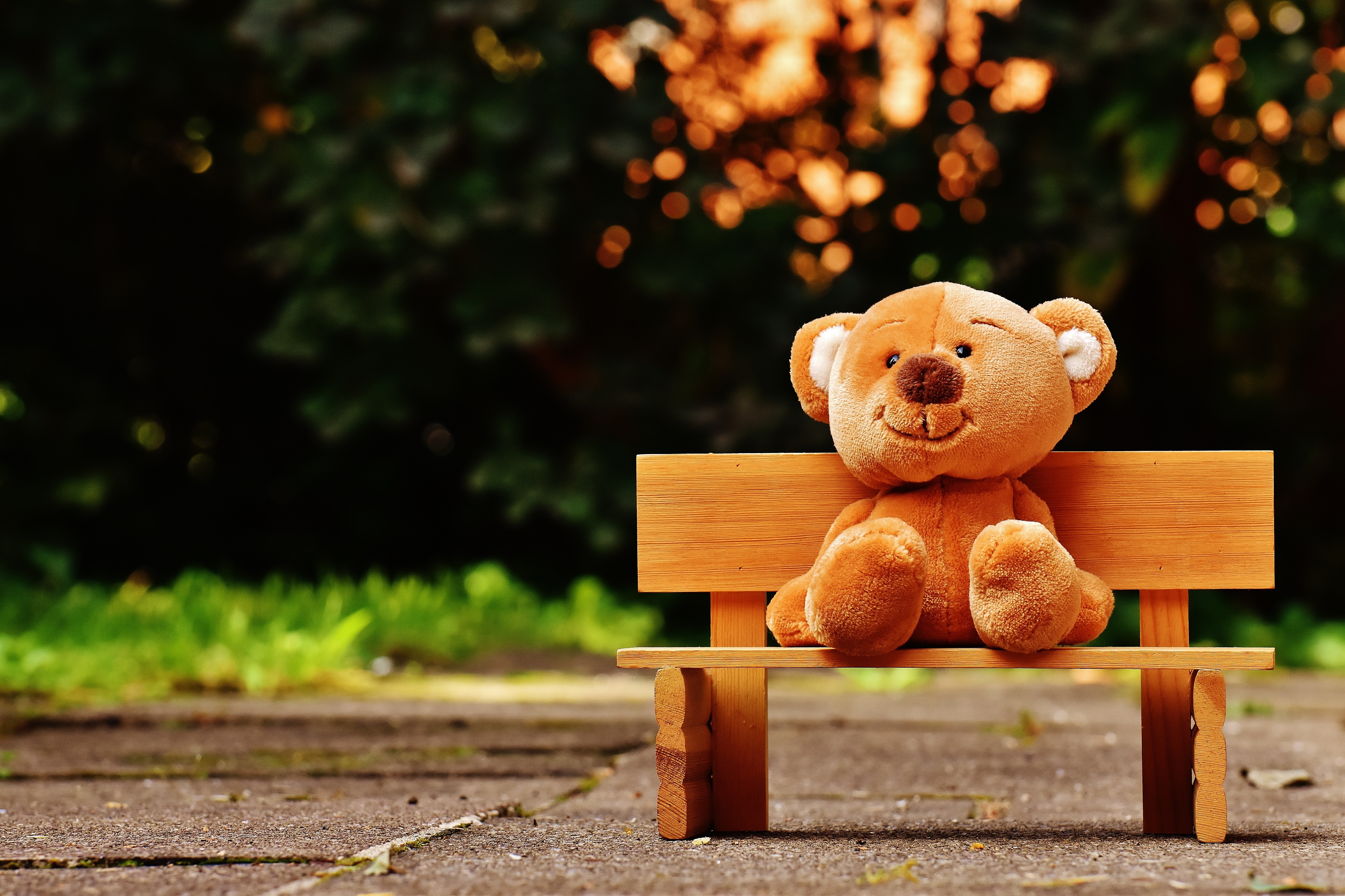 Orsetto peluche marrone su panchina, 6000x4000 4K Ultra HD, Monitor 4K