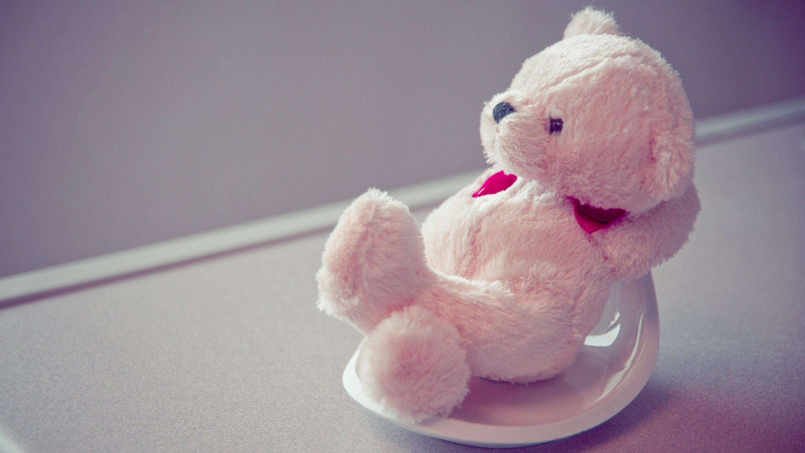 Orsetto peluche bianco seduto, 2560x1440 2K QHD, PC