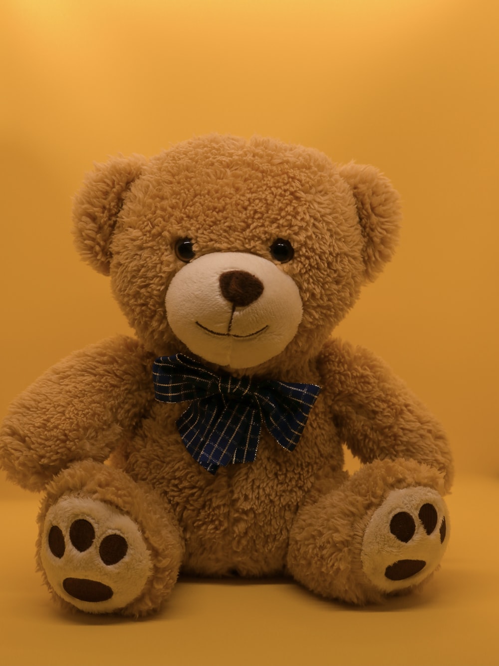 Orsetto di peluche marrone, 1000x1333 Verticale, Mobile