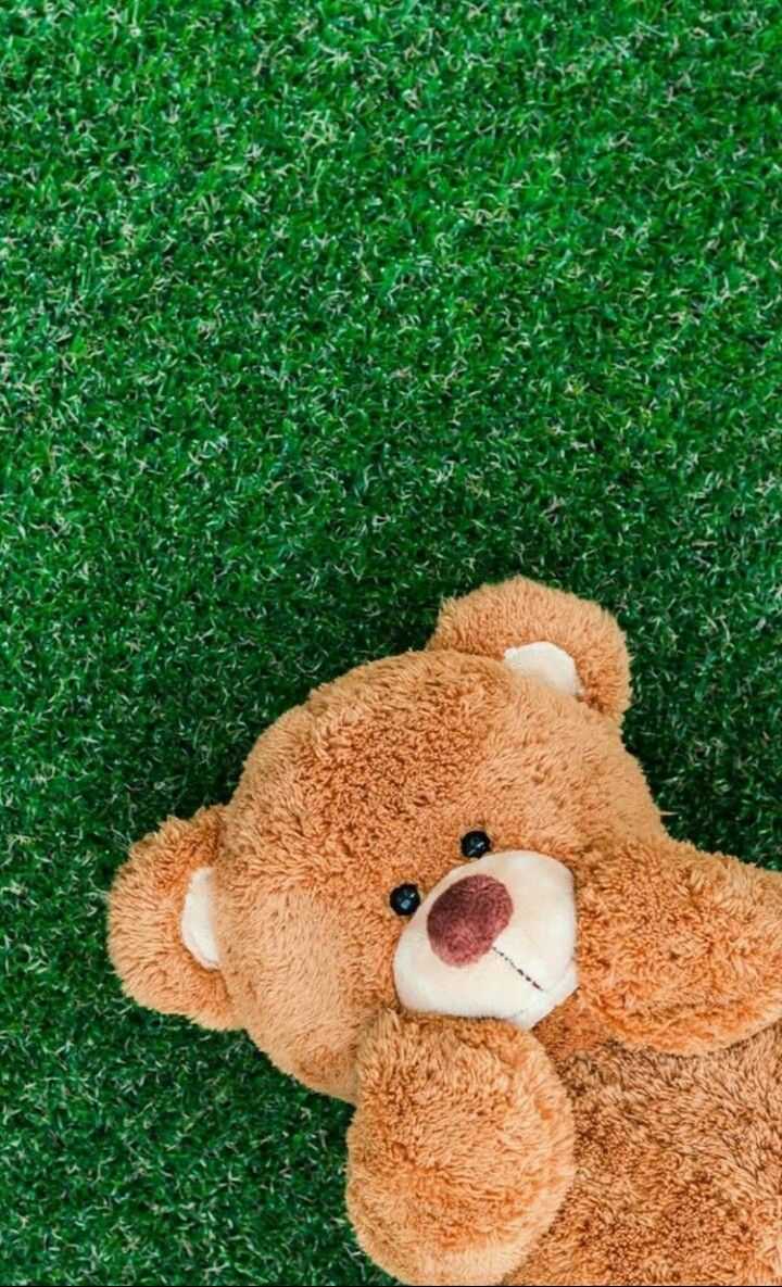 Orsetto di peluche marrone sull'erba, 720x1185 Full HD Verticale, Smartphone
