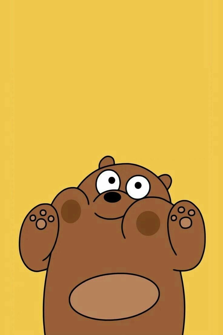 Orso grizzly che corre nell'acqua, 1920x1080 1080p, Desktop