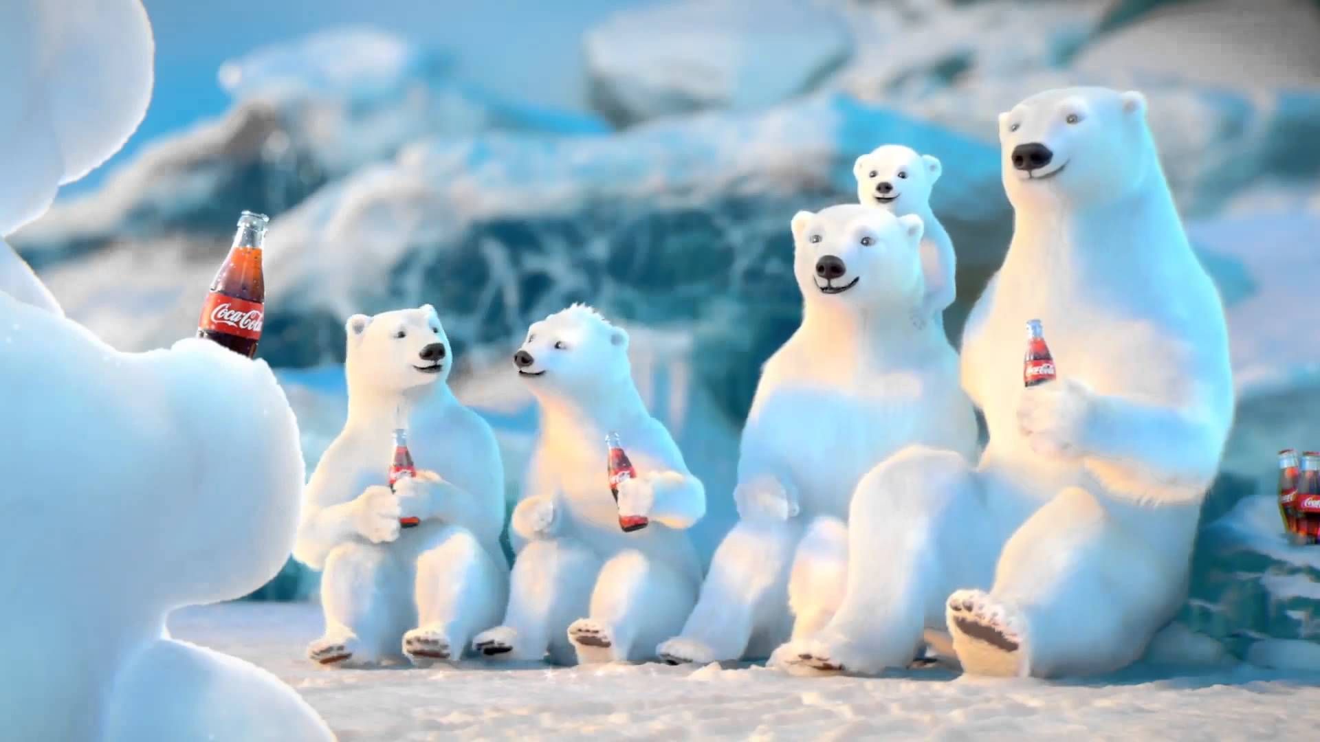 Orsi polari con bottiglia Coca-Cola, 1280x1280 720p, PC