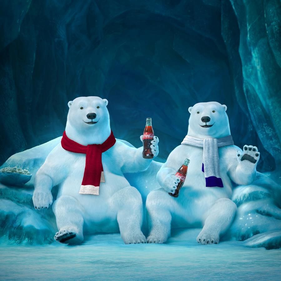 Orso polare Coca-Cola occhiali, orsi polari, 1920x1200 Full HD+, Laptop